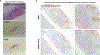 Extended Data Fig. 6: