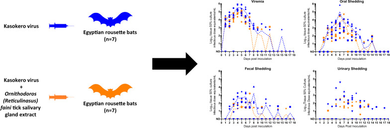 graphic file with name 13071_2023_5853_Figa_HTML.jpg