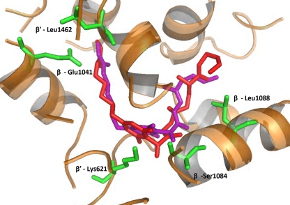 Fig. 2.