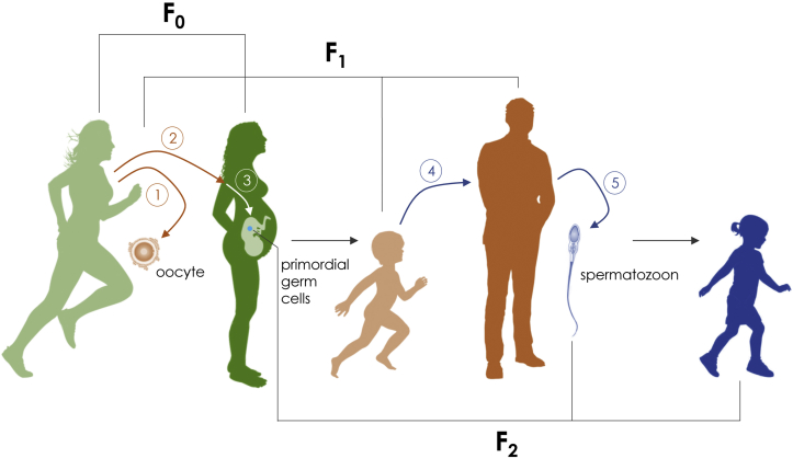 Figure 1