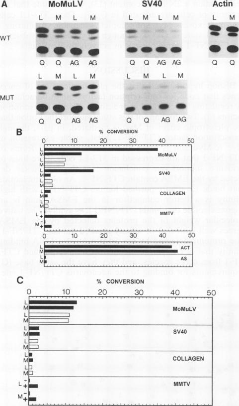 graphic file with name molcellb00017-0473-a.jpg