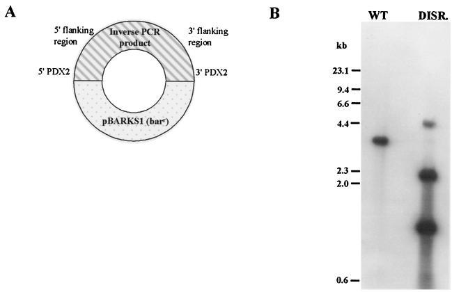 FIG. 3