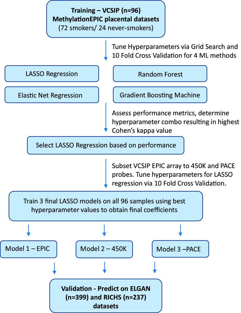 Figure 1 is a flowchart with five steps. Step 1: Training data consisted of 96 MethylationEPIC placental datasets from the Vitamin C to Decrease the Effects of Smoking in Pregnancy on Infant Lung Function cohort. The training data included 24 cases of never-smokers and 72 cases of smokers and were used to tune hyperparameters via grid search and 10-fold cross-validation for 4 machine learning approaches random forest, gradient boosting machine, least absolute shrinkage and selection operator, and elastic net regression. Step 2: Performance metrics from each of the 4 machine learning methods were assessed to determine the hyperparameter combination resulting in the highest Cohen’s kappa value. The least absolute shrinkage and selection operator regression method was selected based on performance metrics. Step 3: The Vitamin C to Decrease the Effects of Smoking in Pregnancy on Infant Lung Function EPIC array dataset was subset into probes present on the Illumina 450K array and probes previously associated with maternal smoking by the Pregnancy and Childhood Epigenetics meta-analysis. Hyperparameters were tuned for least absolute shrinkage and selection operator regression via 10-fold cross-validation for each data subset. Step 4: Training three final least absolute shrinkage and selection operator models on all 96 samples using the best hyperparameter values to obtain the final coefficients leads to models 1: EPIC, 2: 450K, and 3: Pregnancy and Childhood Epigenetics. Step 5: Models 1: EPIC, 2: 450K, and 3: Pregnancy and Childhood Epigenetics were used for validation in 399 datasets from the of Extremely Low Gestational Age Newborn and 237 cases from the Rhode Island Children’s Health Study cohort.