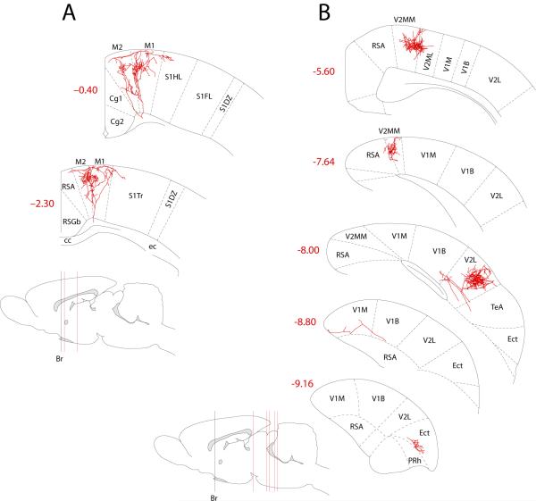 Figure 7