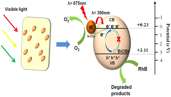 Figure 14