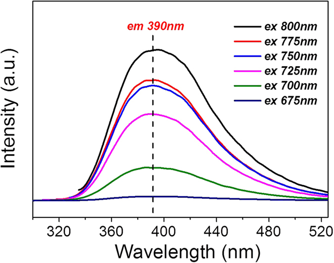 Figure 13