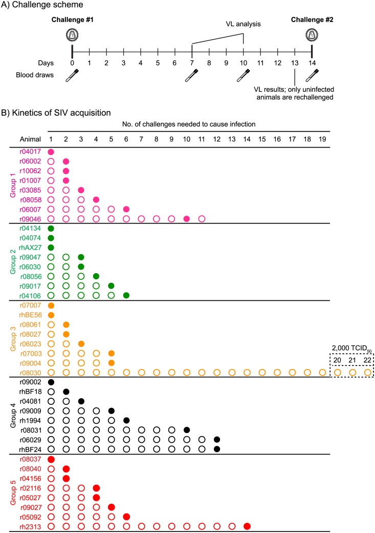 Fig 6