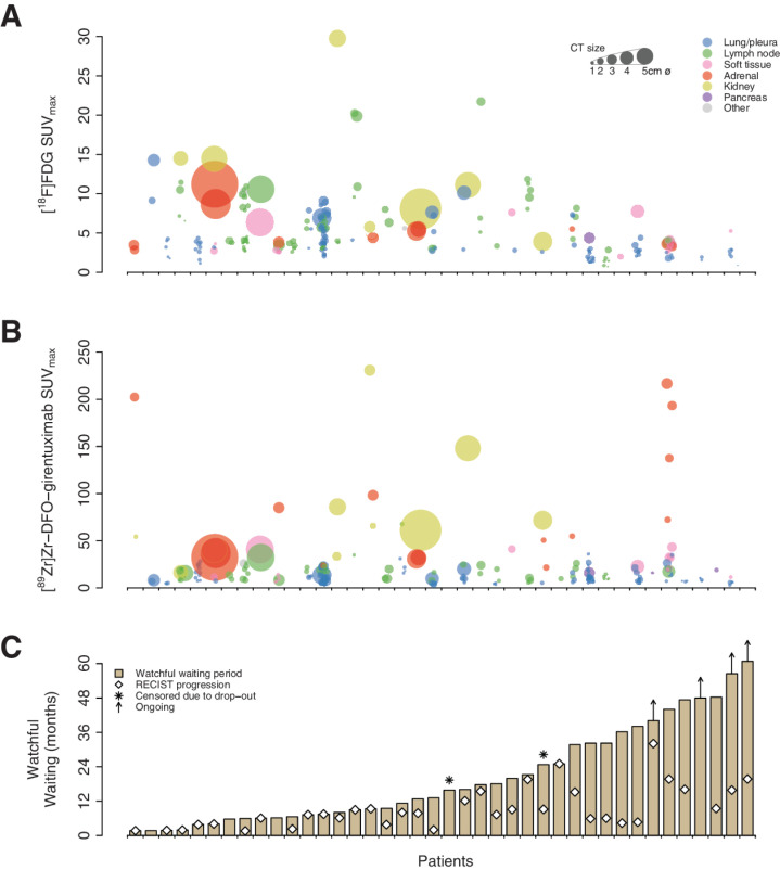 Figure 1. Overview of the tracer uptake of [18F]FDG and [89Zr]Zr-DFO-girentuximab in the RECIST-measurable lesion per patient. A depicts a scatterplot of [18F]FDG-positive lesions. For each patient on the x-axis, per tumor lesion [18F]FDG SUVmax is shown in vertical direction. The size of the dot reflects the size of the lesion, and the color identifies the location of this lesion. B identical design, here with each patient on the x-axis and the y-axis depicts the tumor [89Zr]Zr-DFO-girentuximab SUVmax uptake per tumor lesion. In C, the duration of WW is depicted for each patient, highlighting the time with and without disease progression according to RECIST 1.1.