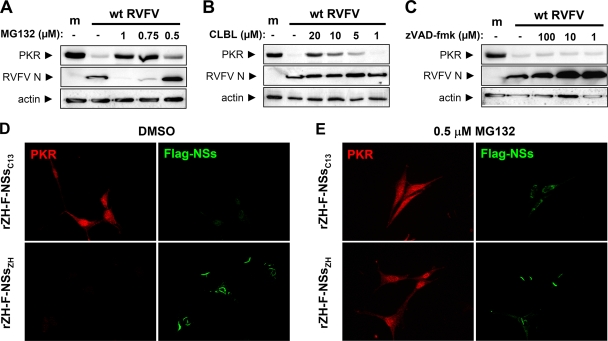 FIG. 6.