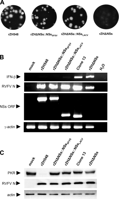 FIG. 7.