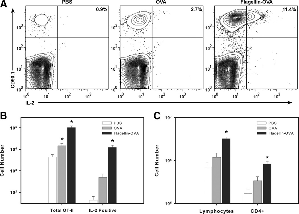 FIGURE 3