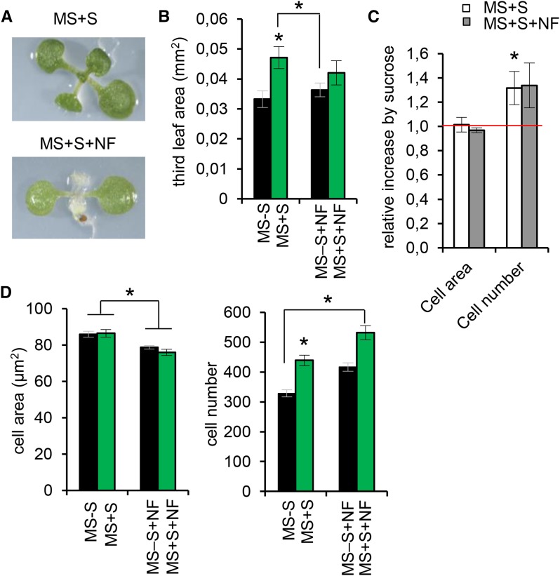 Figure 4.