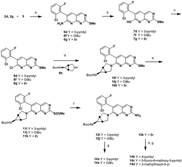 Scheme 3.