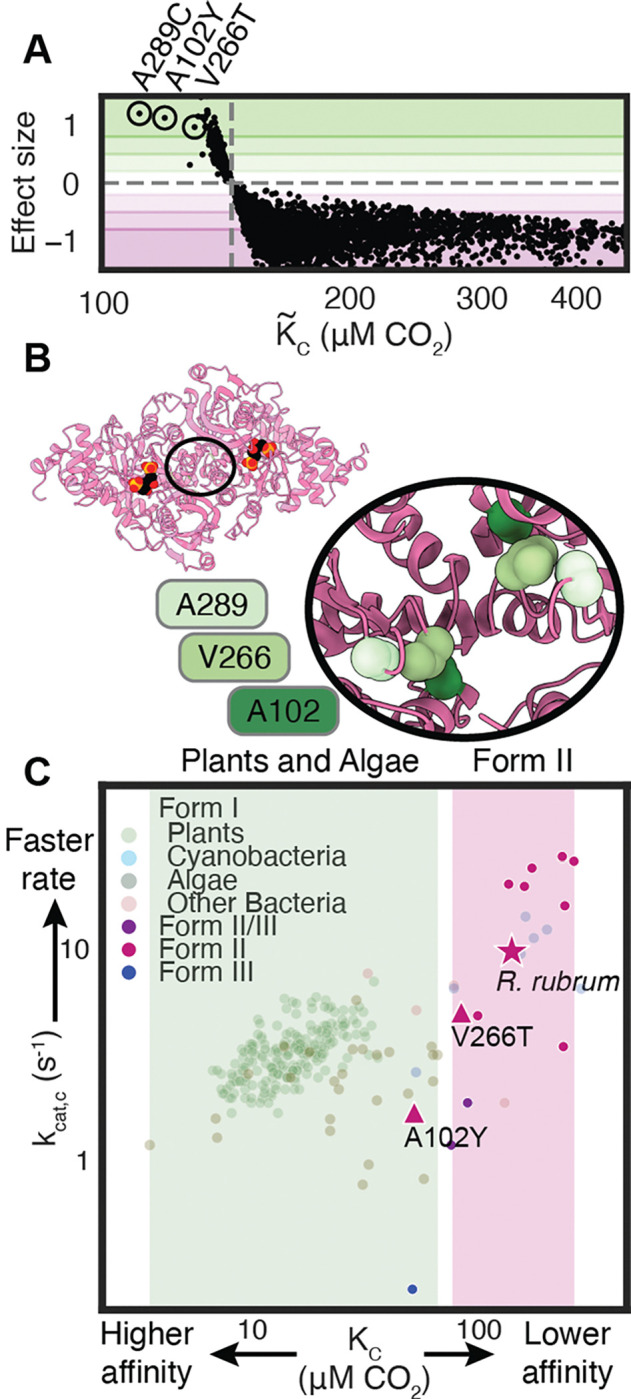 Figure 4: