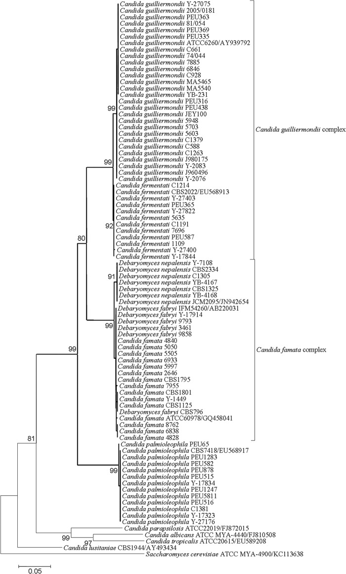 FIG 1