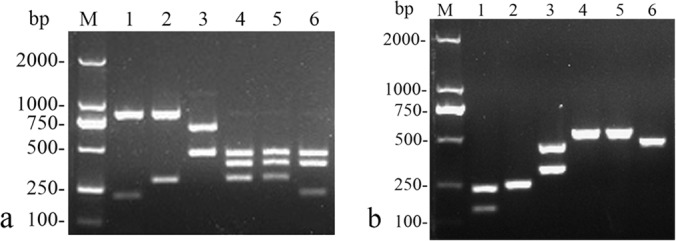 FIG 2