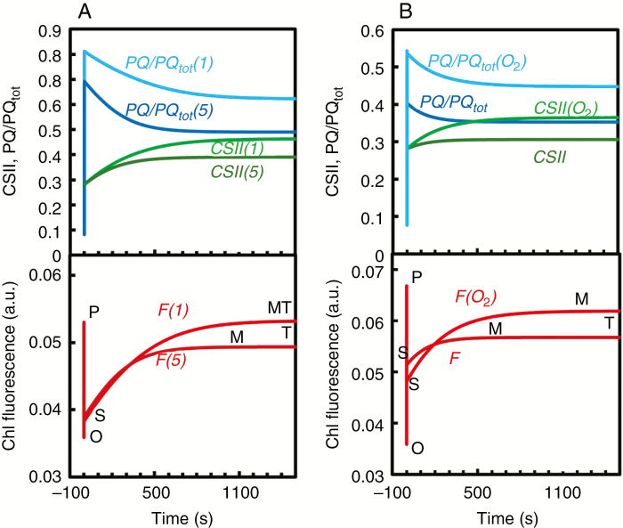 Fig. 10.