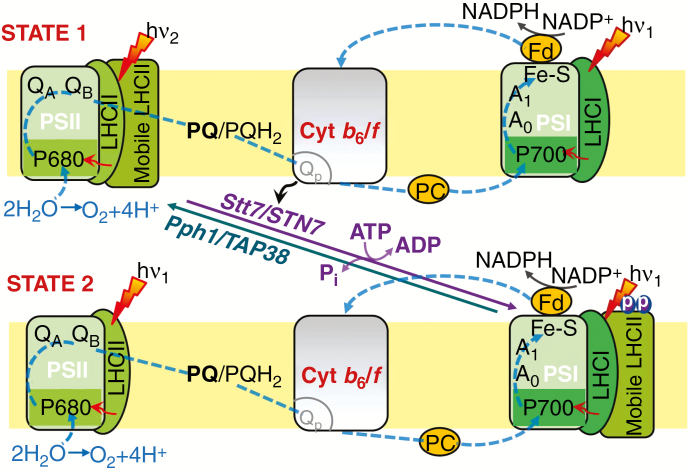 Fig. 4.