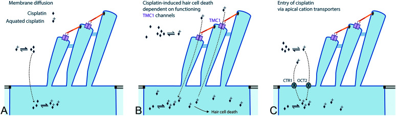 Figure 3.