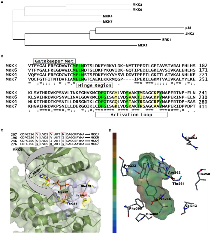 Figure 4