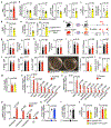 Extended Data Fig. 6 |