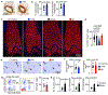 Extended Data Fig. 3 |