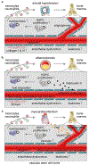 Extended Data Fig. 8 |