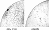 FIG. 5.