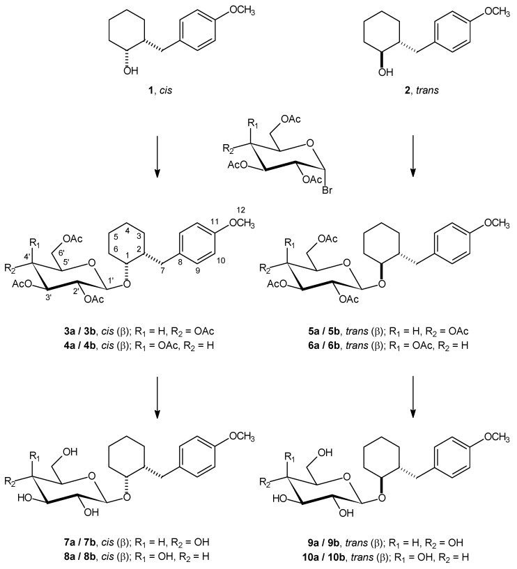 Scheme 1