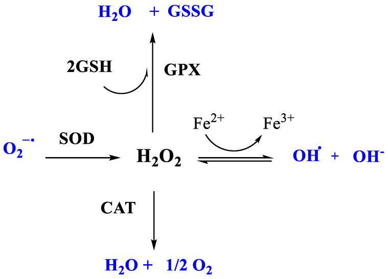 Scheme 2