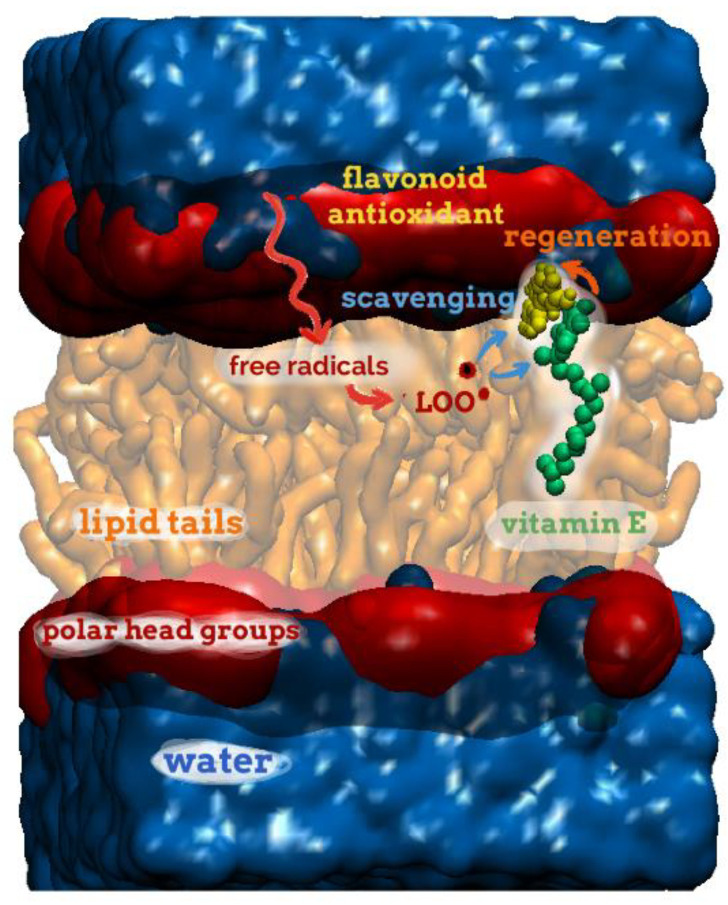 Scheme 5