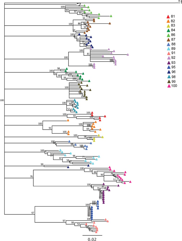 FIG 1