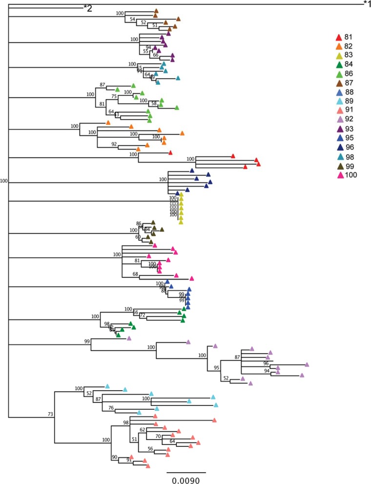 FIG 2