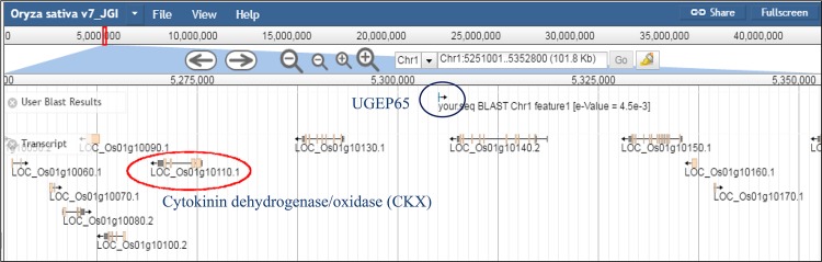 Fig 5