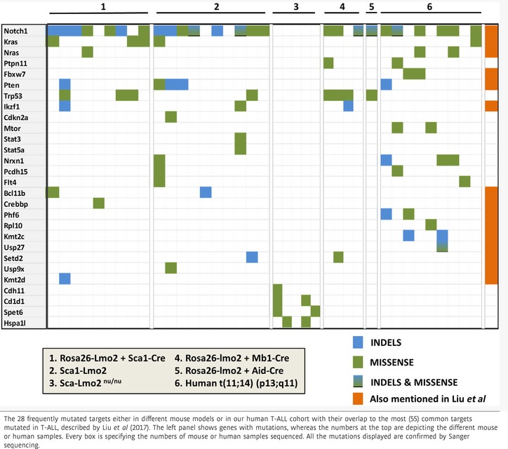 graphic file with name EMBJ-37-e98783-g009.jpg