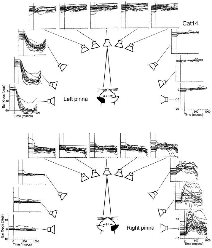 Fig. 8.