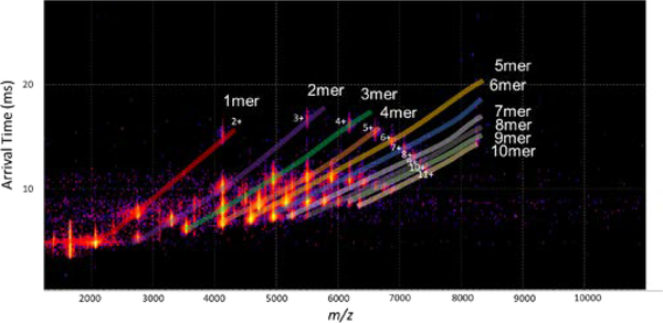 Figure 5: