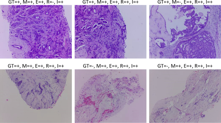 Fig. 10.