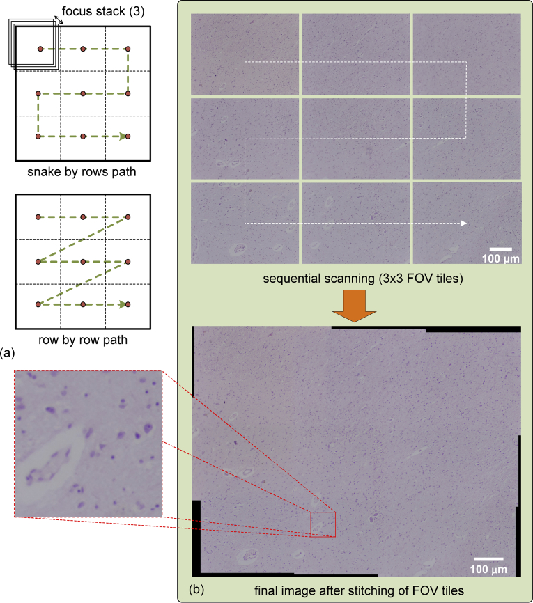 Fig. 9.