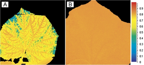 Fig. 3.