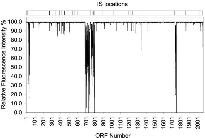 FIG. 1.