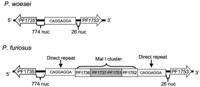 FIG. 5.