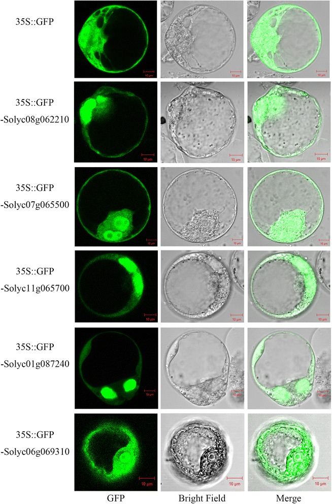 Fig. 6