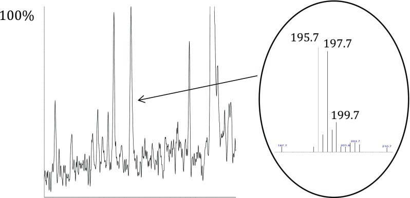 Fig. 6