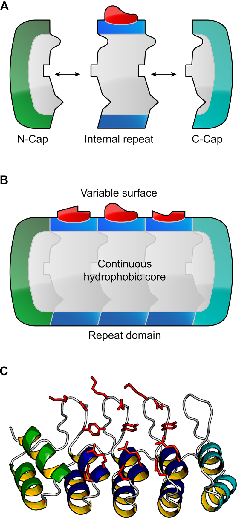 Figure 1