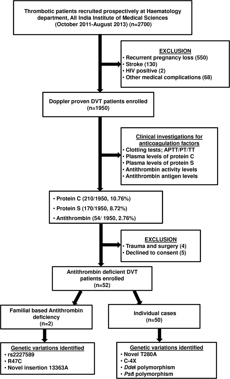 Fig 7