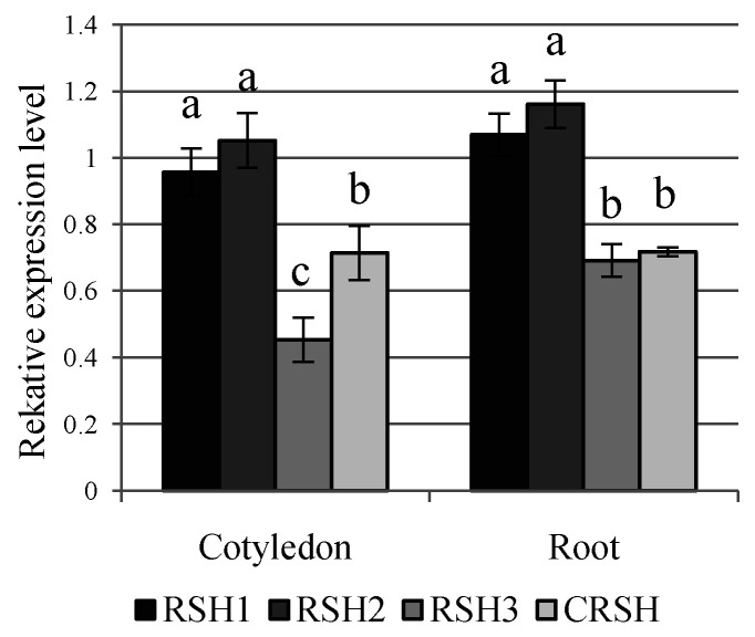 Figure 7