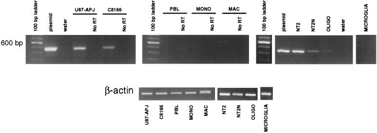 FIG. 5