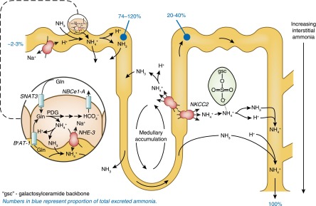 Figure 11.