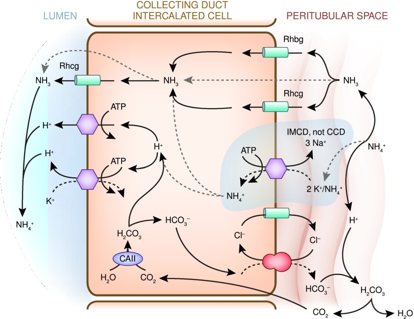 Figure 10.